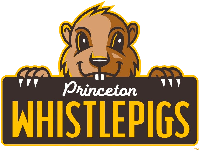 Princeton WhistlePigs 2021-Pres Primary Logo iron on heat transfer